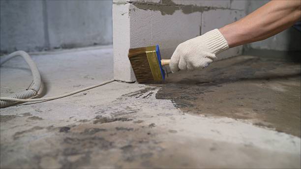 SJ Waterproofing Pros Waterproofing coverage map for Danville, AL and surrounding area